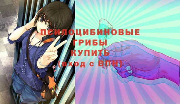 молекула духа Алексеевка